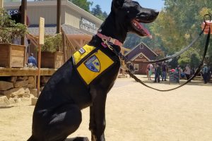 Penny Roaring Camp